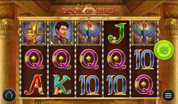 Book of the Dead Slot